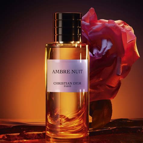 dior ambre nuit profumo|dior ambre nuit price.